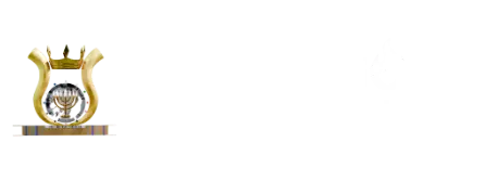 preview logo